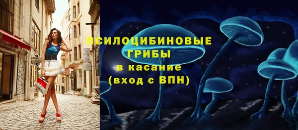 бошки Алзамай