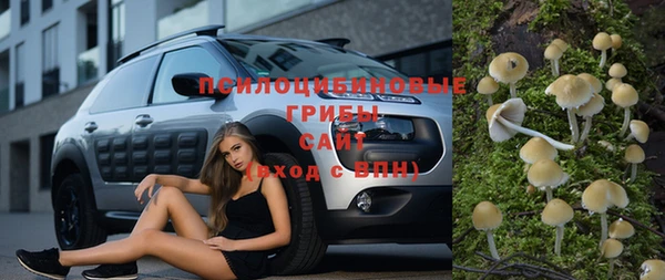 бошки Алзамай
