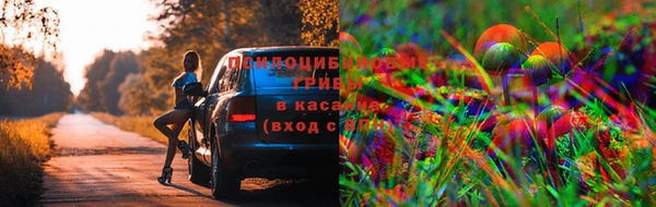 бошки Алзамай