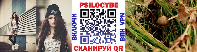 Псилоцибиновые грибы Cubensis  продажа наркотиков  Андреаполь 